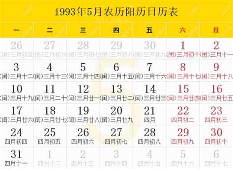 1993年12月31日|1993年